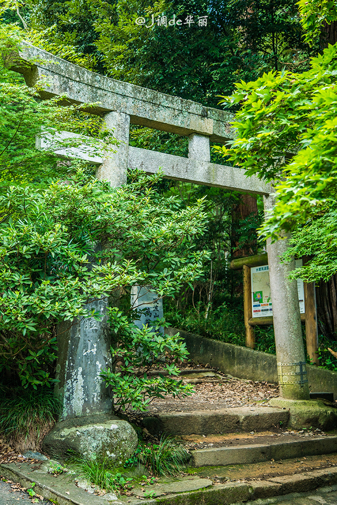 潜派旅行