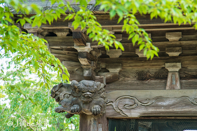 潜派旅行