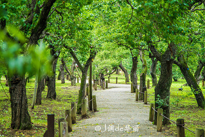 潜派旅行