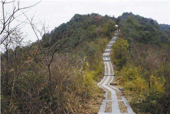 [杭州免费玩 ] 行走山脊,徒步龙坞,探秘杭城仅存古道