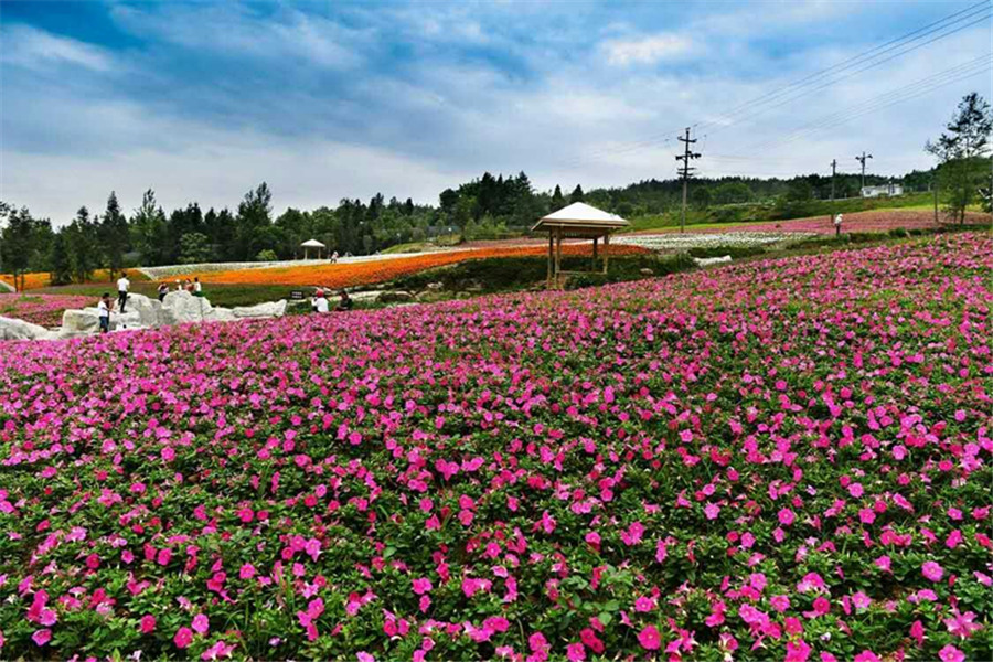 凤凰花果山景区门票