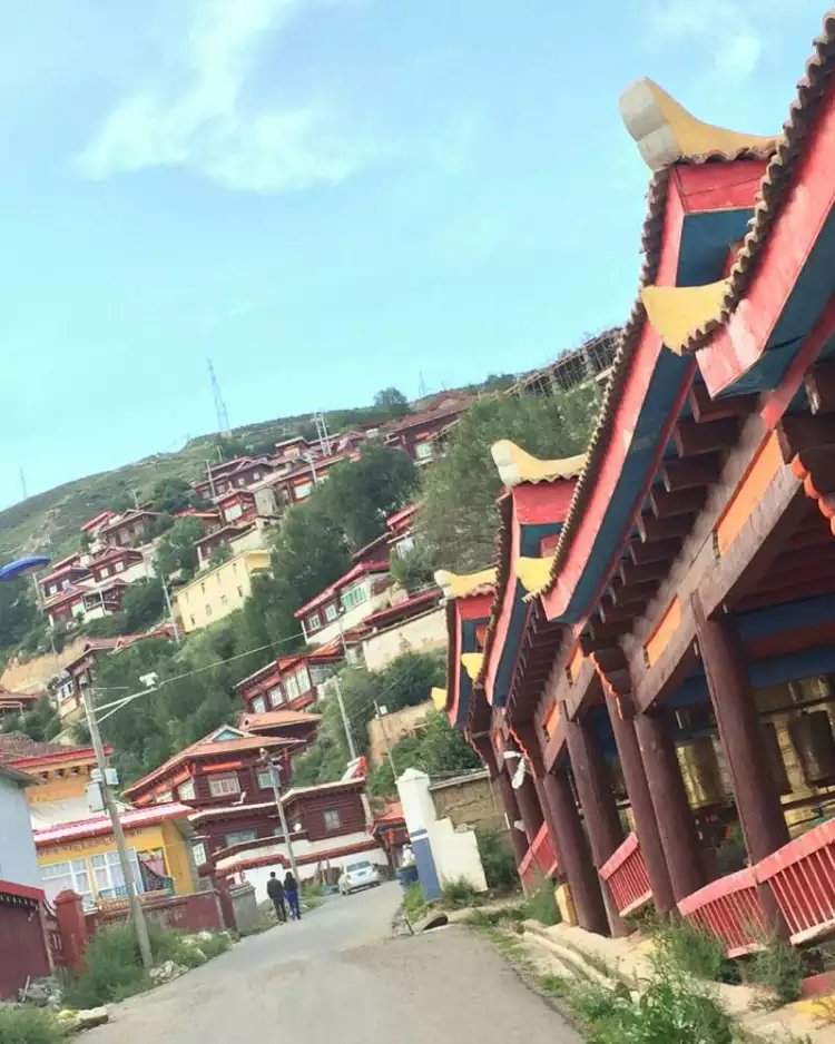 人口金塔图_金塔胡杨林图片(2)
