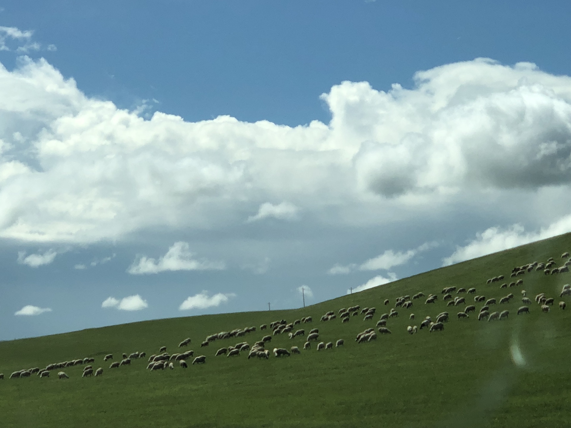 wKgBZ1t_bv2AFF1DAAX0JH78ii452.jpeg?imageView2%2F2%2Fw%2F600%2Fh%2F600%2Fq%2F90