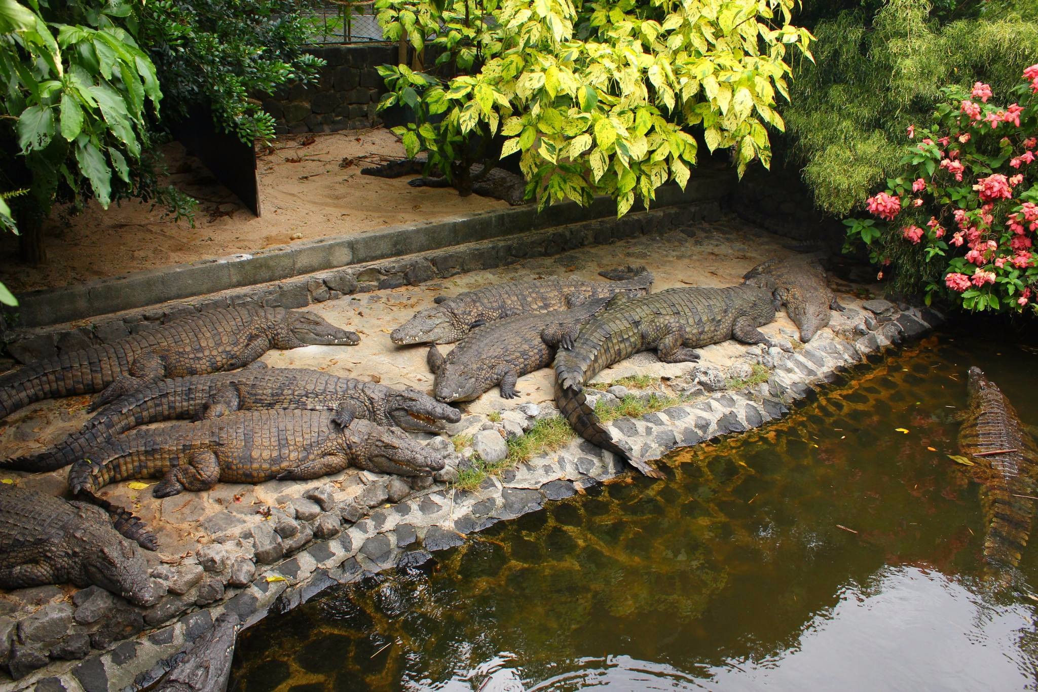 潜派旅行