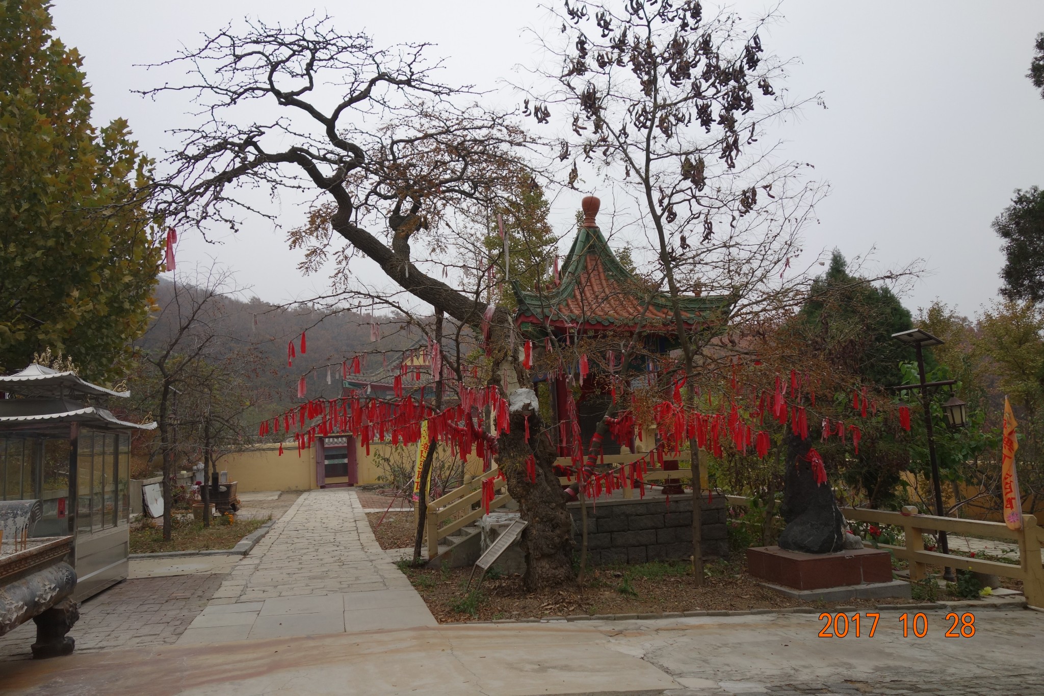 大连~董家沟植物公园~关向应纪念馆~九莲寺一日游