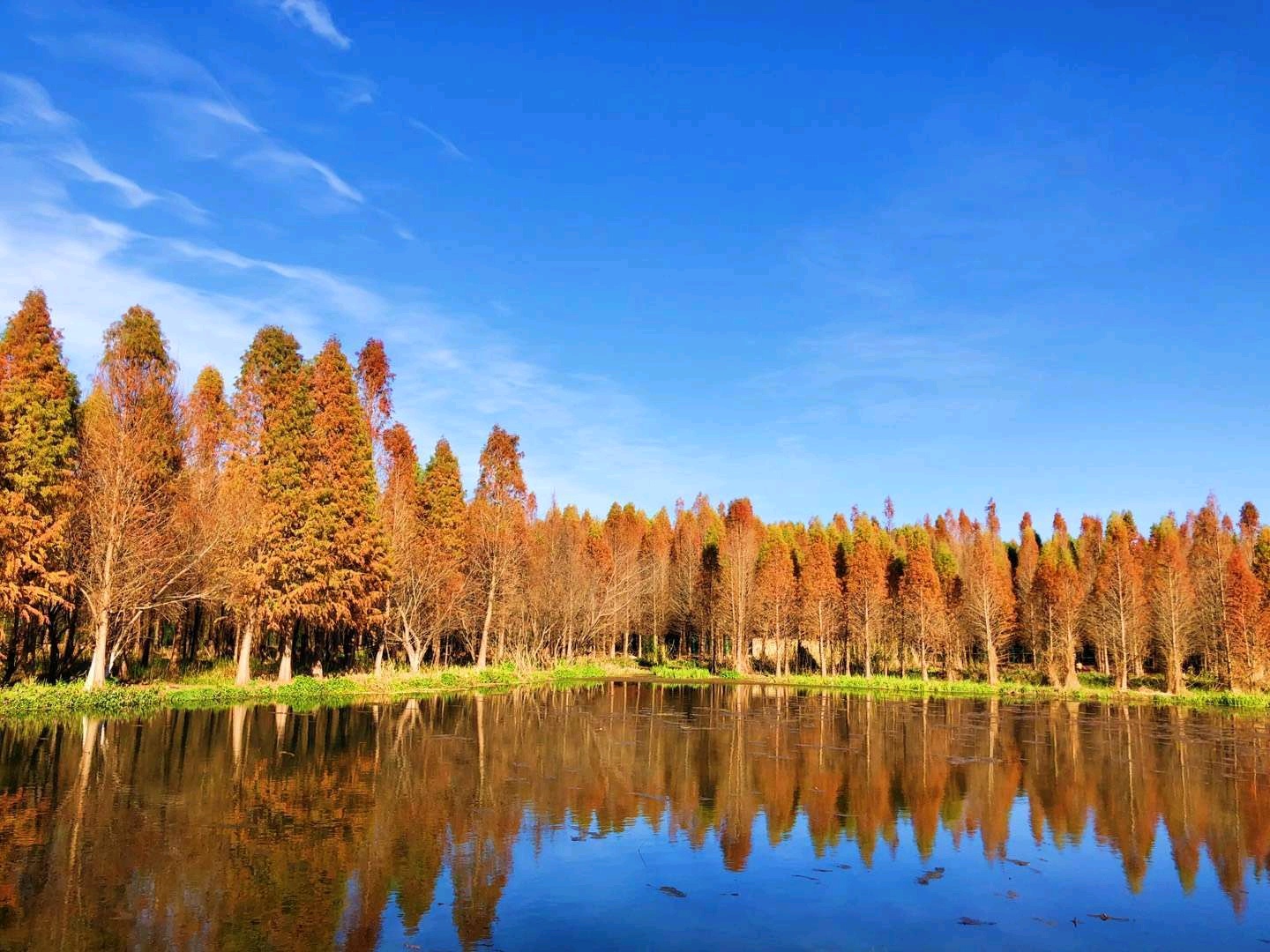 【呈贡景点图片】捞渔河湿地公园