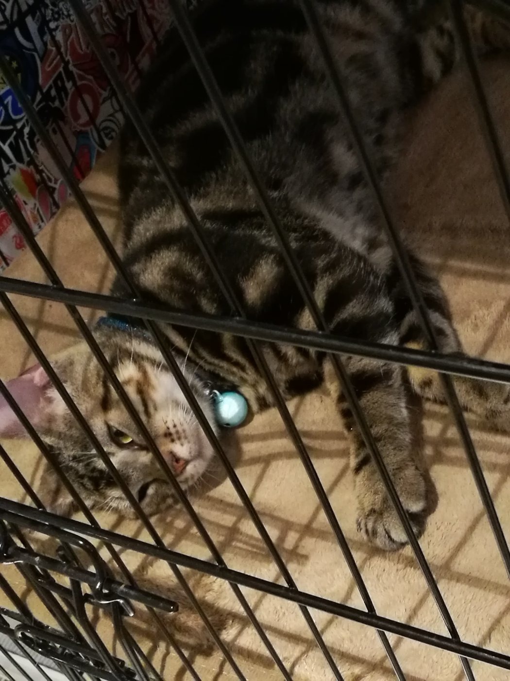 青岛美食-遇见43号咖啡影像馆