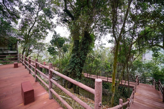 走进大自然_游记