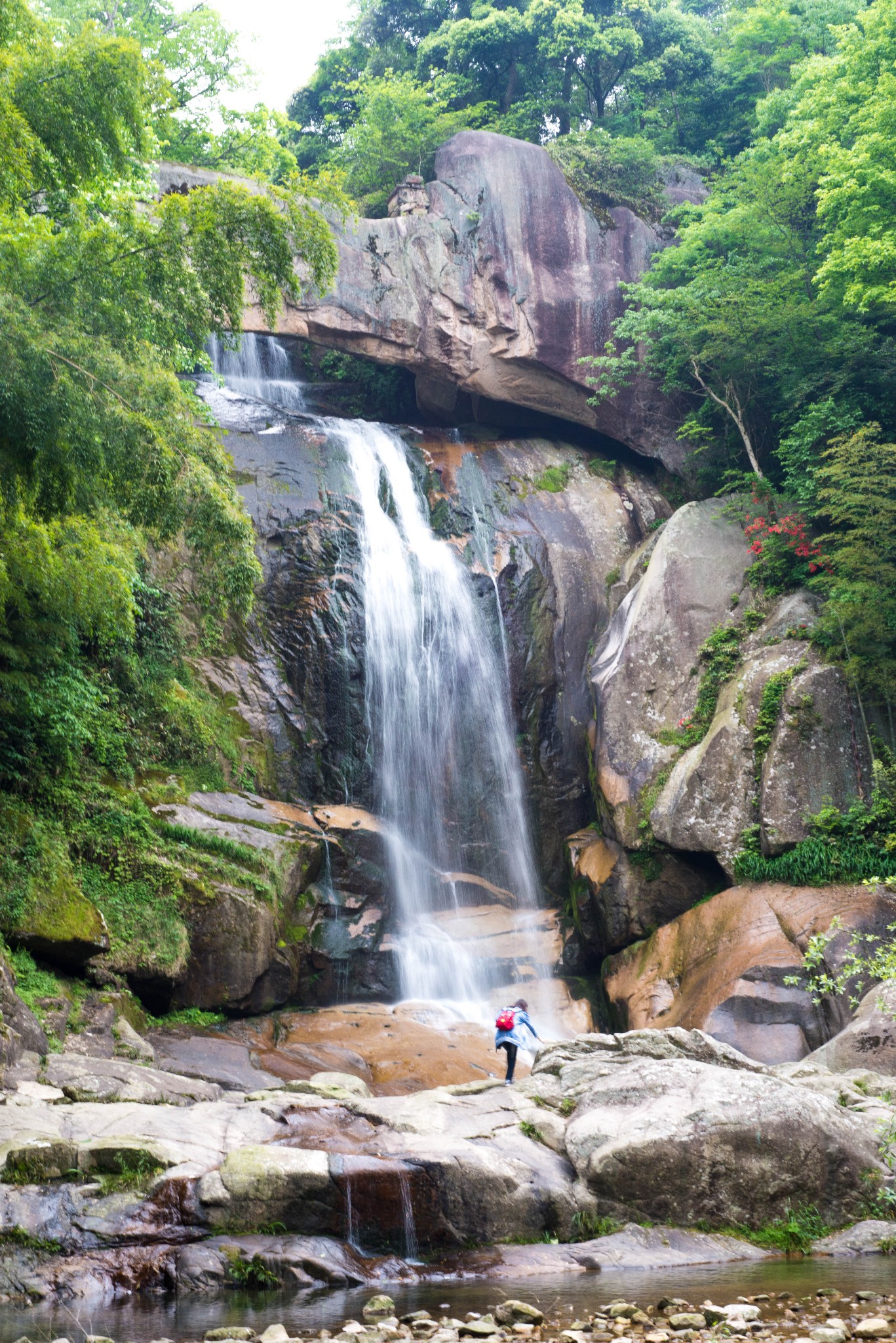 观石梁飞瀑,览华顶杜鹃