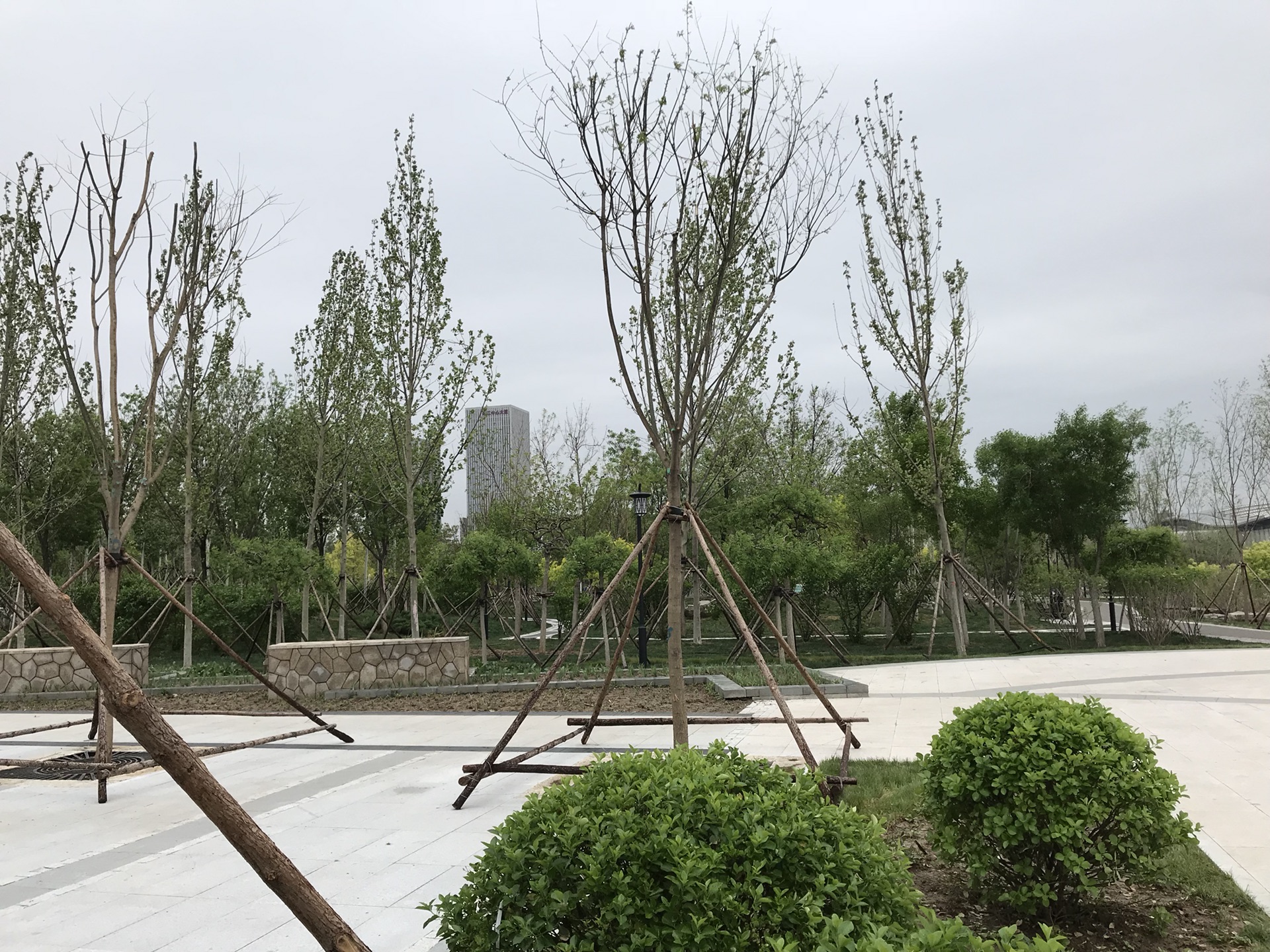 新梅江公园