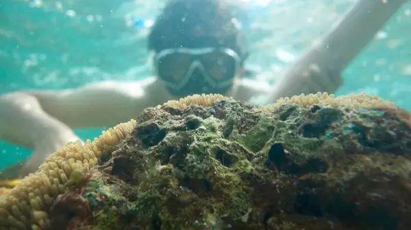 潜派旅行
