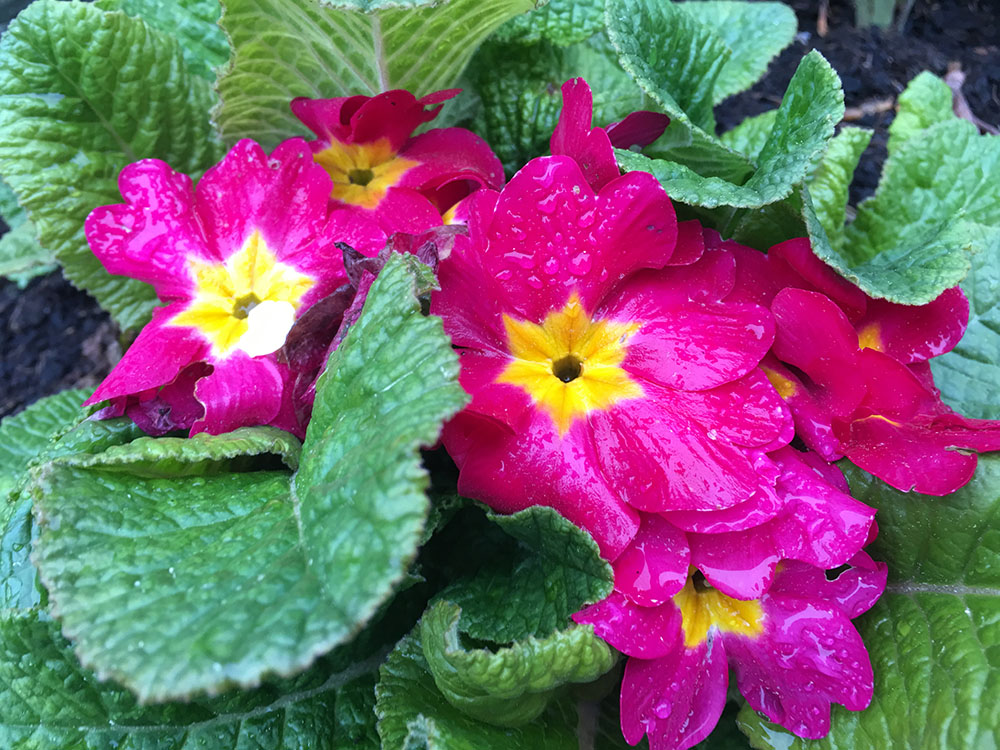 从英国到爱尔兰（六）  从苏格兰到北爱尔兰_游记