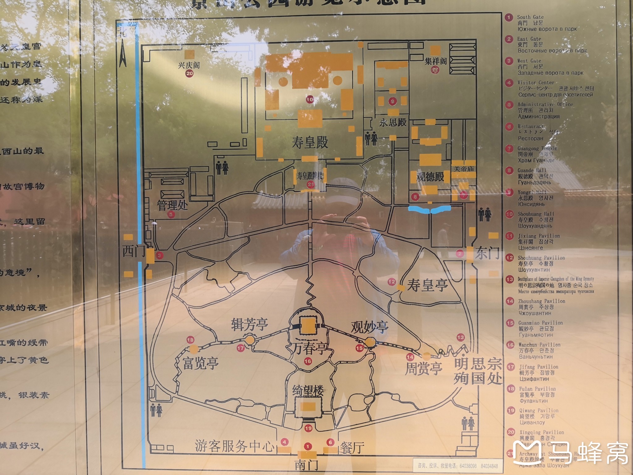 逛北京景山公园,观故宫全貌,览崇祯皇帝自缢处的歪脖树