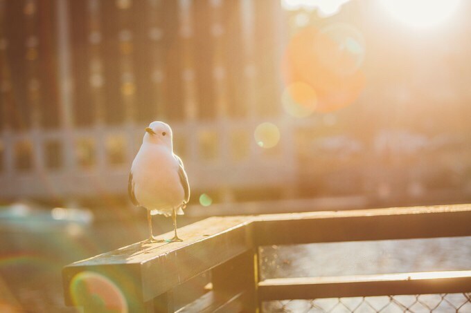 【夏. 北欧】这里的童话是蓝色的——北欧四国你好_游记