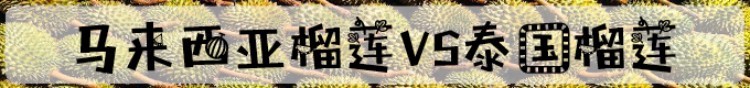马来西亚榴莲VS泰国榴莲