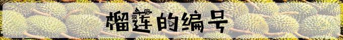 榴莲的编号