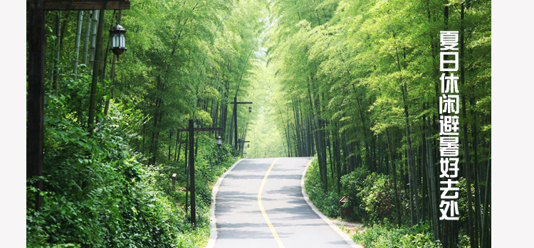 【景区往返接送】浙江杭州千岛湖森林氧吧 一日电子门票 森林公园