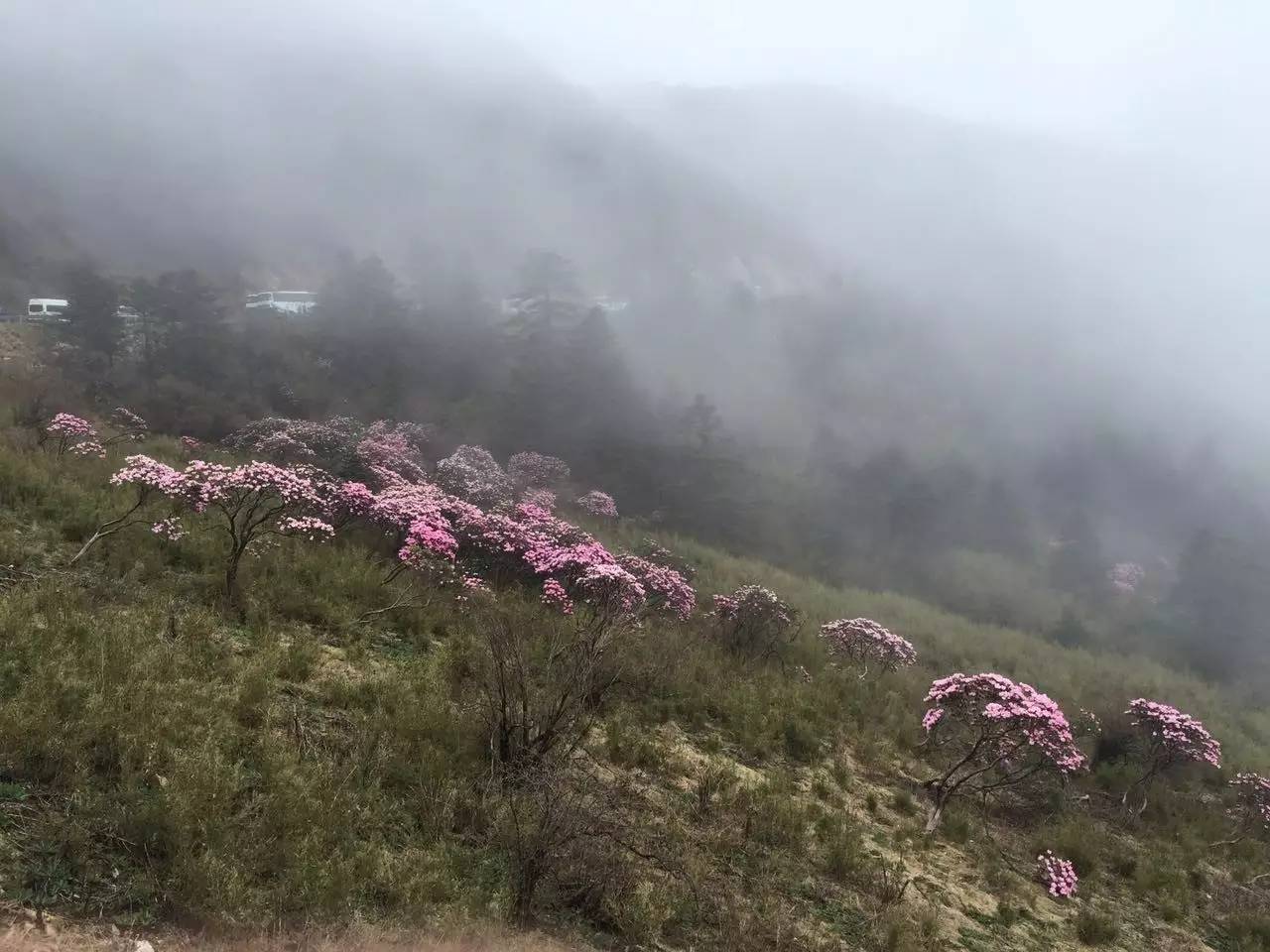 神农架山人口_神农架官门山图片