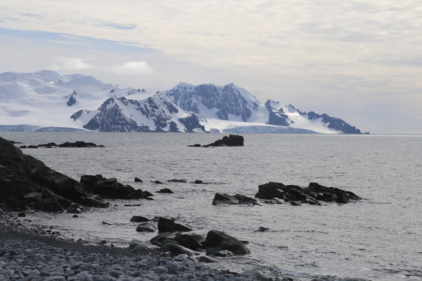 南设得兰群岛一半月岛附:饱览大象岛风光,南极洲自助游攻略 马蜂窝