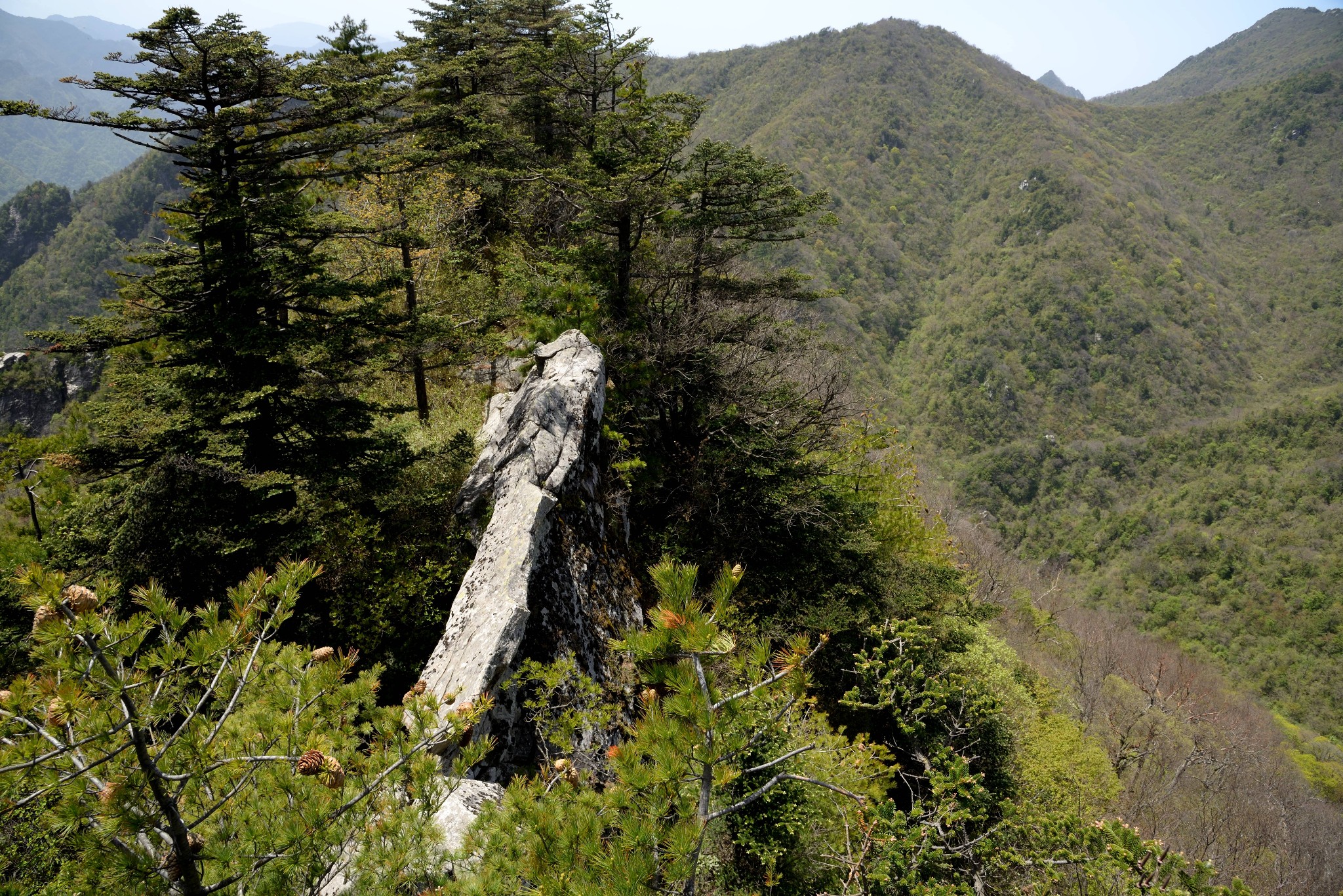 终南山秦楚古道,柞水旅游攻略 - 马蜂窝