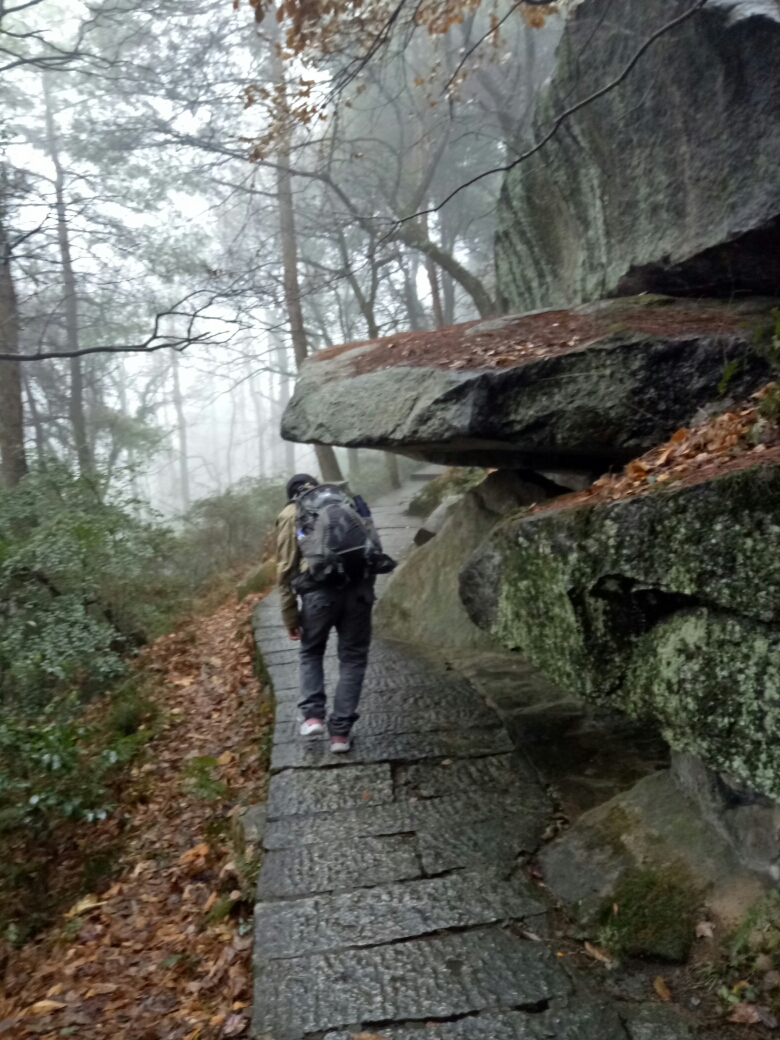 山亭多少人口_山亭骑行