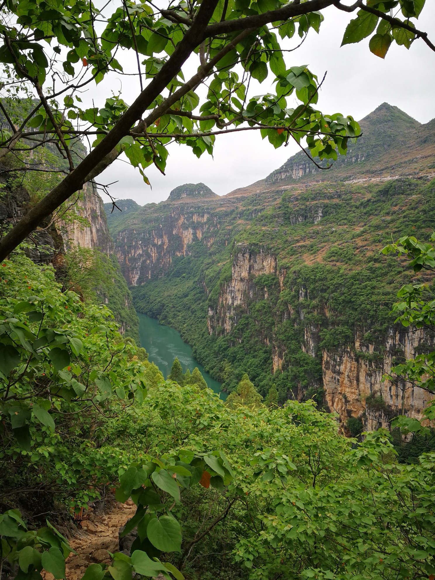 包游花江大峡谷