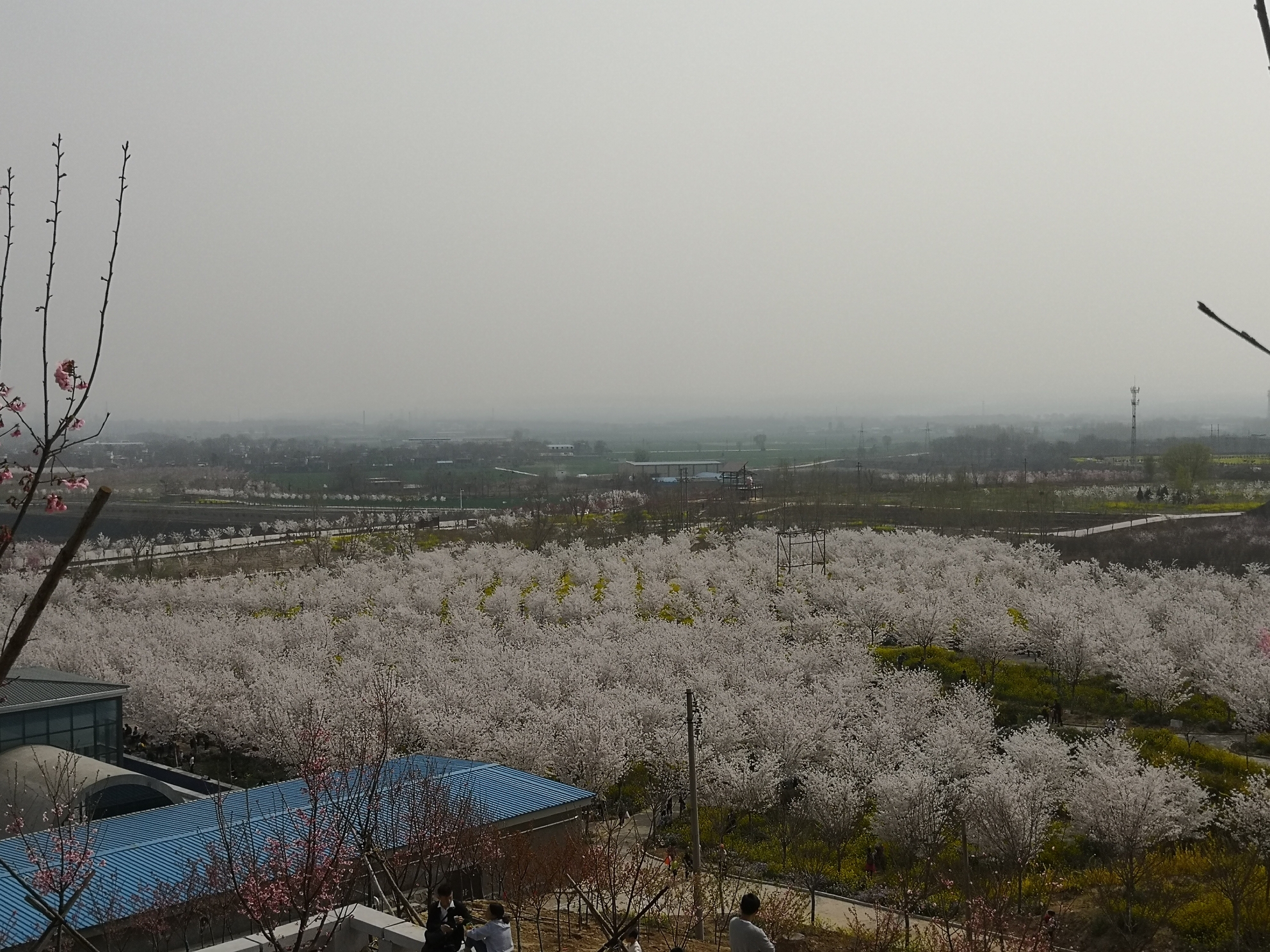 郑州=荥阳孤柏渡飞黄景区丰乐樱花园