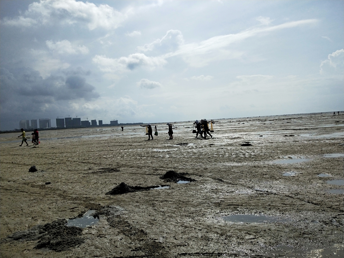 北海—金海湾赶海