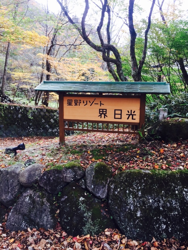 【日光图片】日光--红叶的救赎（星野界日光，中禅寺湖，三鹰之森吉卜力美术馆，藤子·F·不二雄，东京）