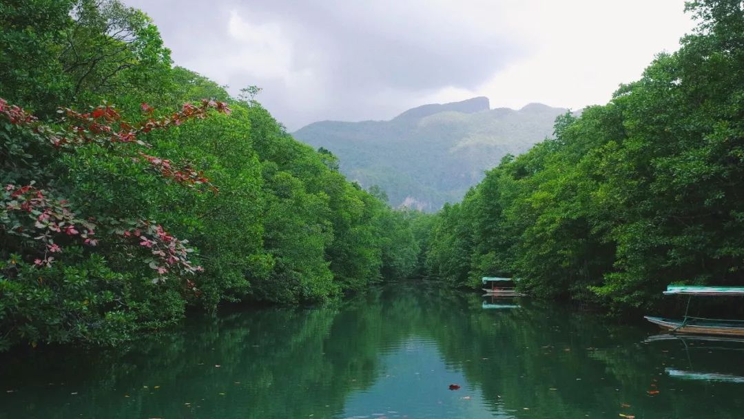 潜派旅行