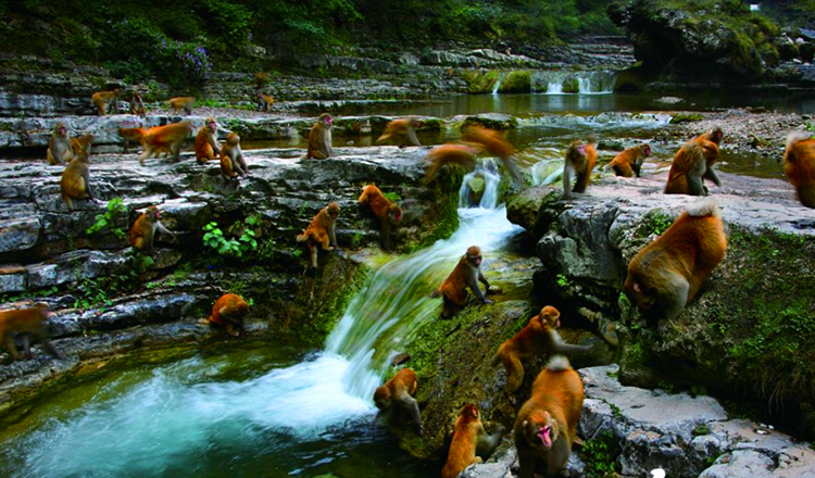 山西晋城蟒河生态旅游区