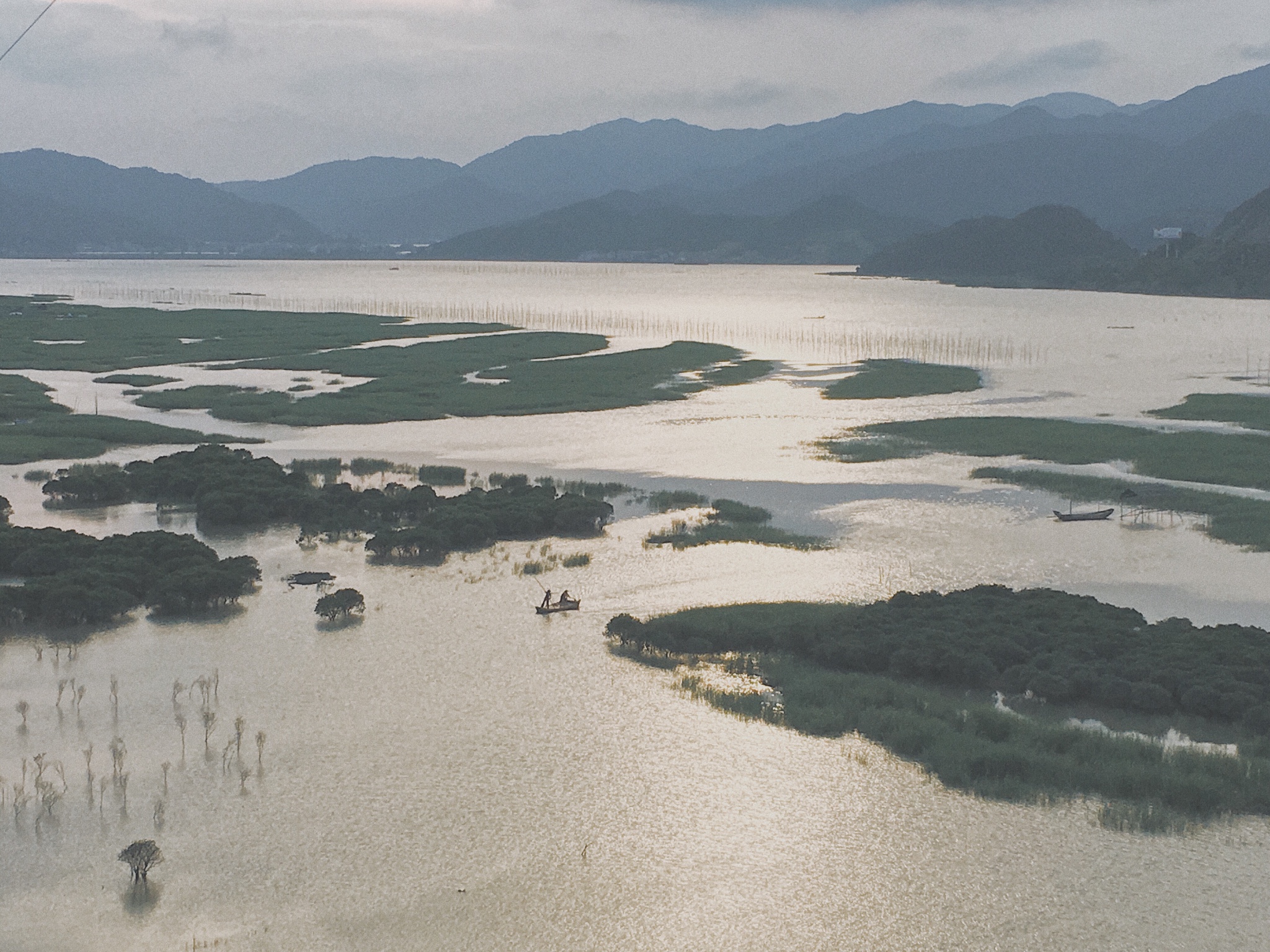 【霞浦景点图片】鹅湾红树林摄影点