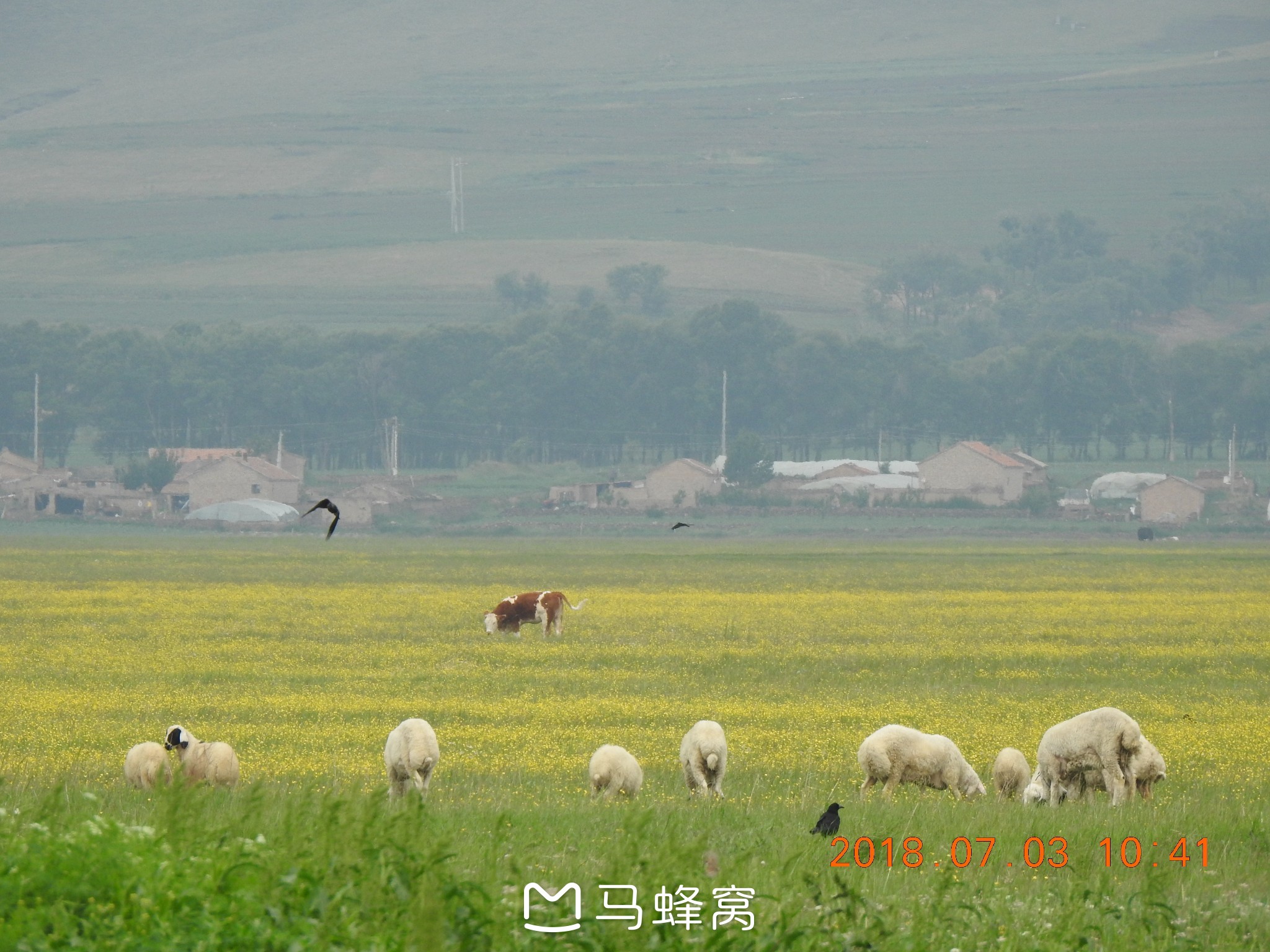 离北京不远的纳凉胜地——张北“草原天路”_游记