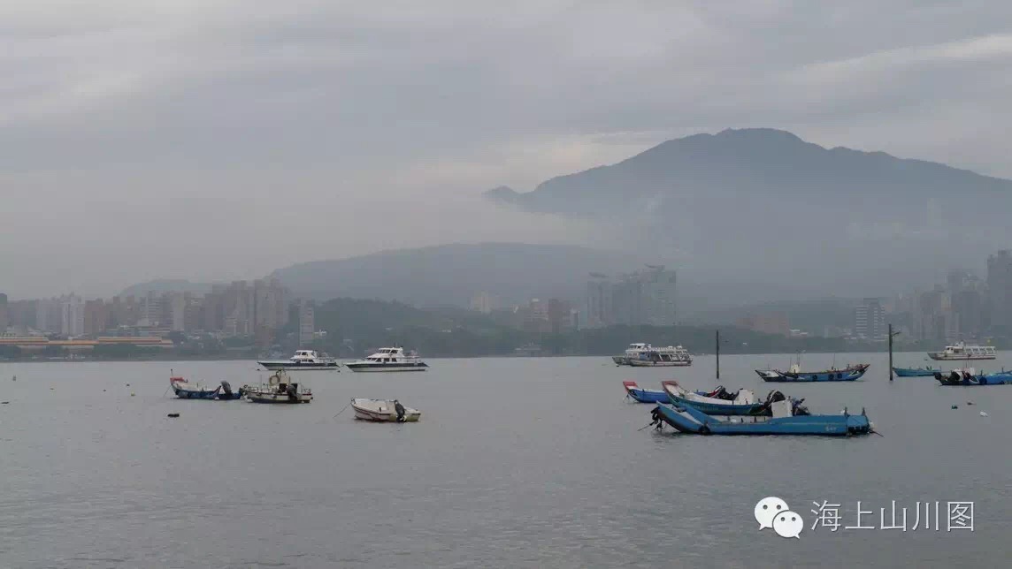 看湾湾系列 - 神奇植物在哪里_游记