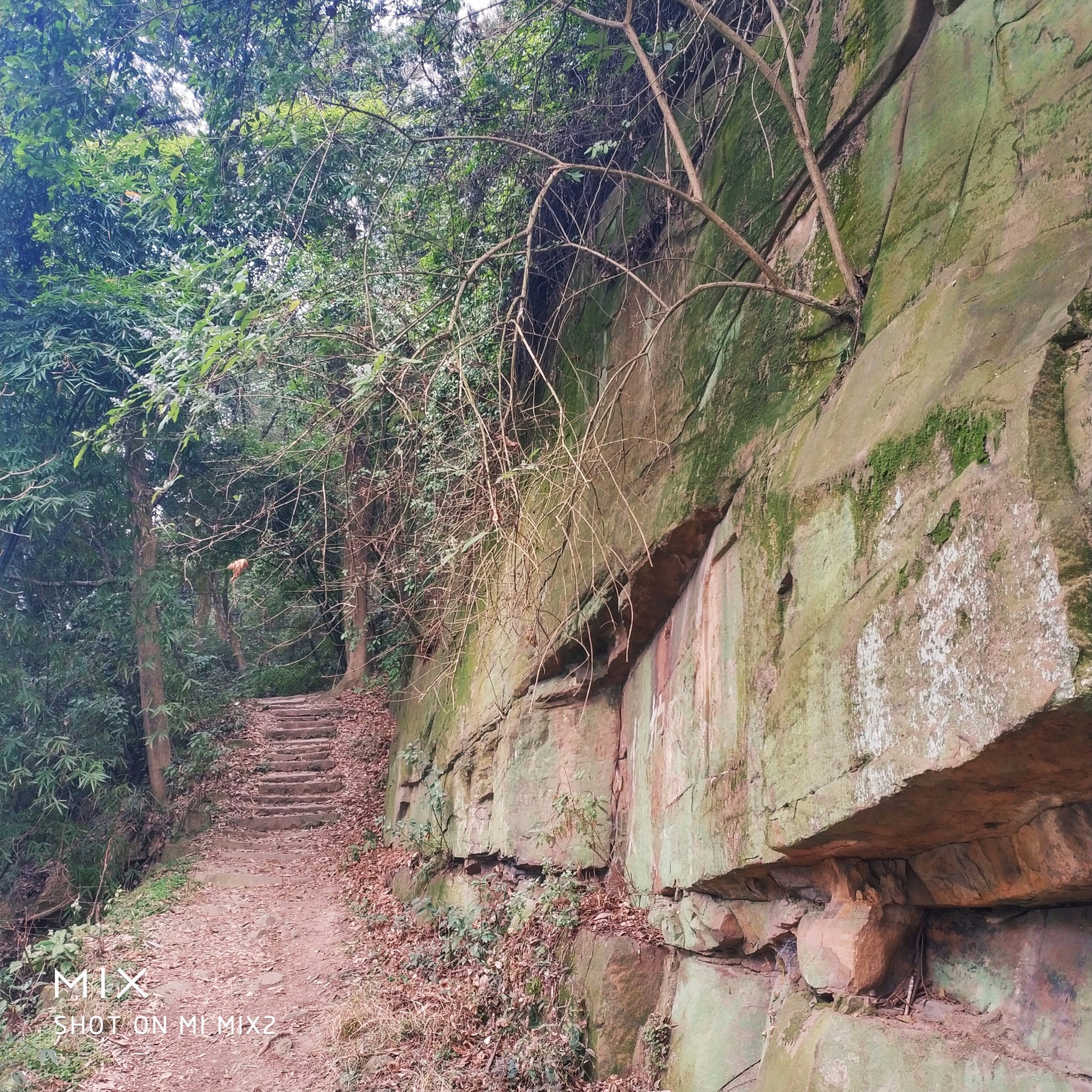 张飞古道 你来吗?