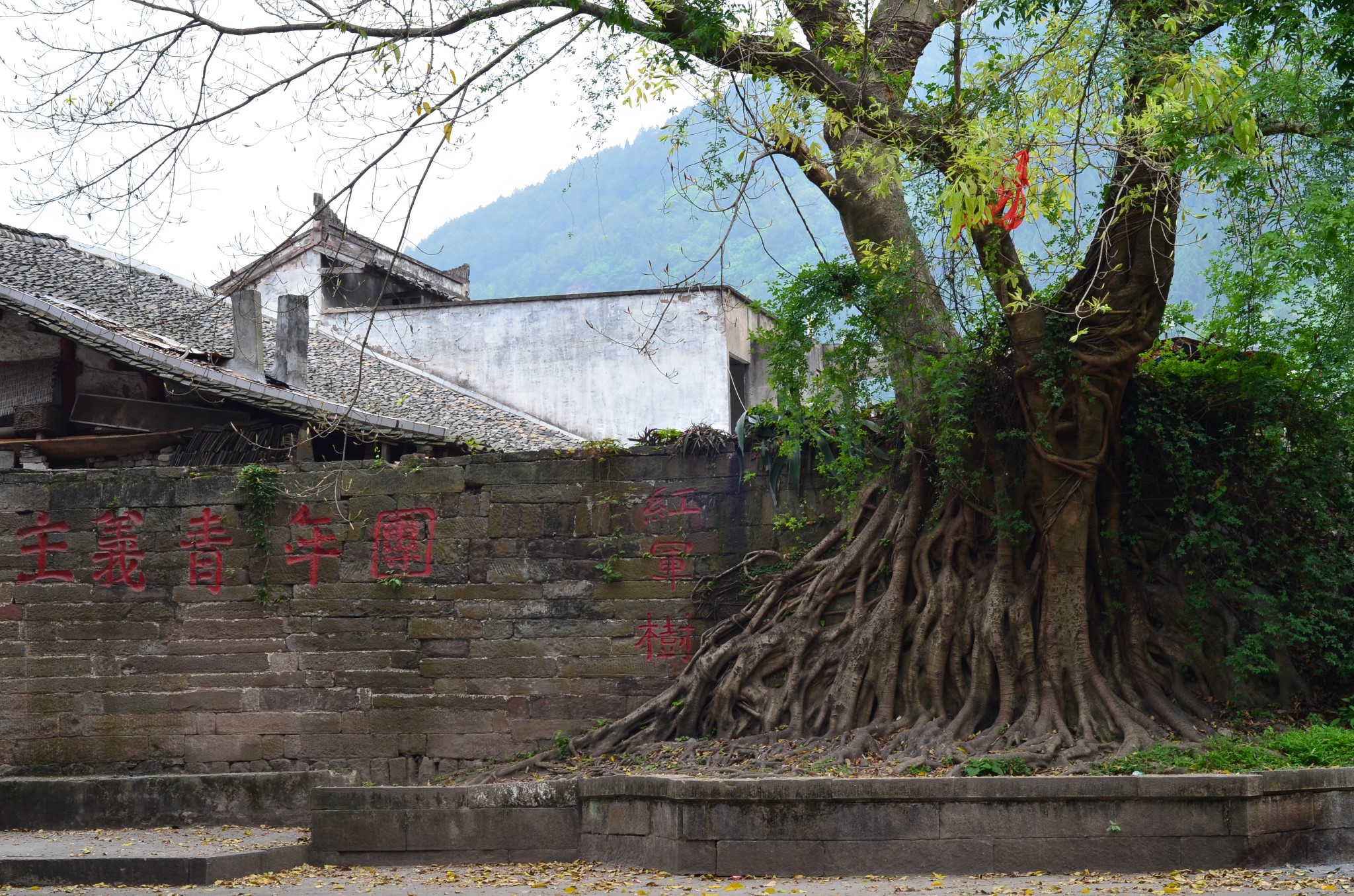 穿行川东北，游走大巴山