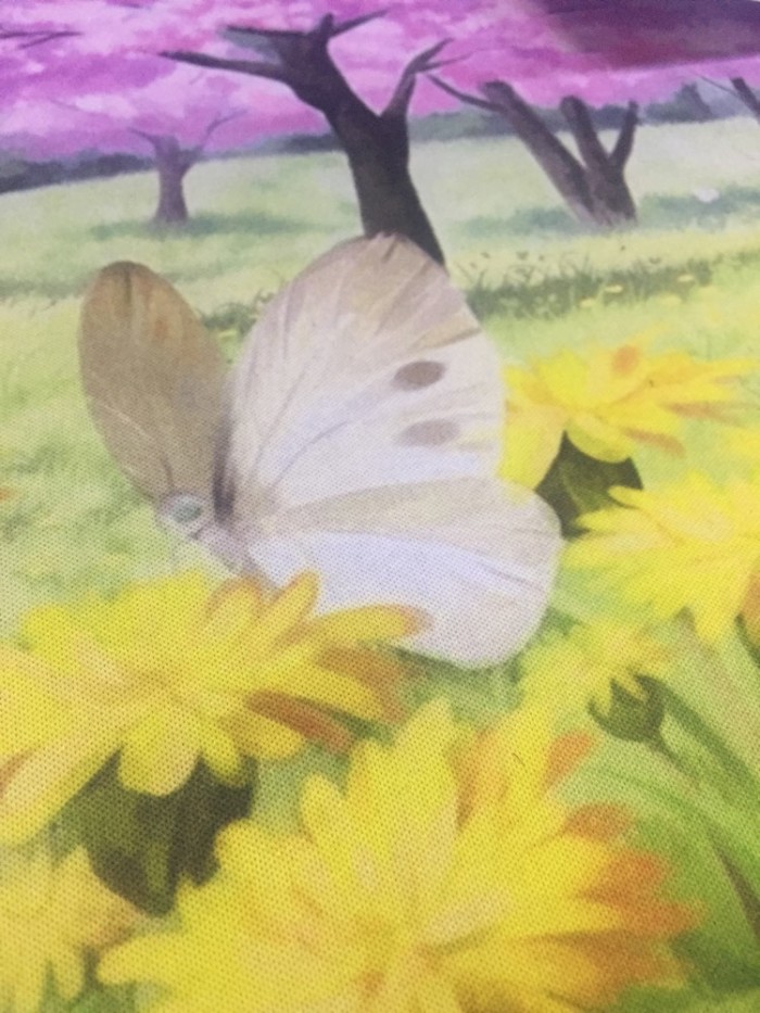 什么时候去比较好,人少,天气适宜