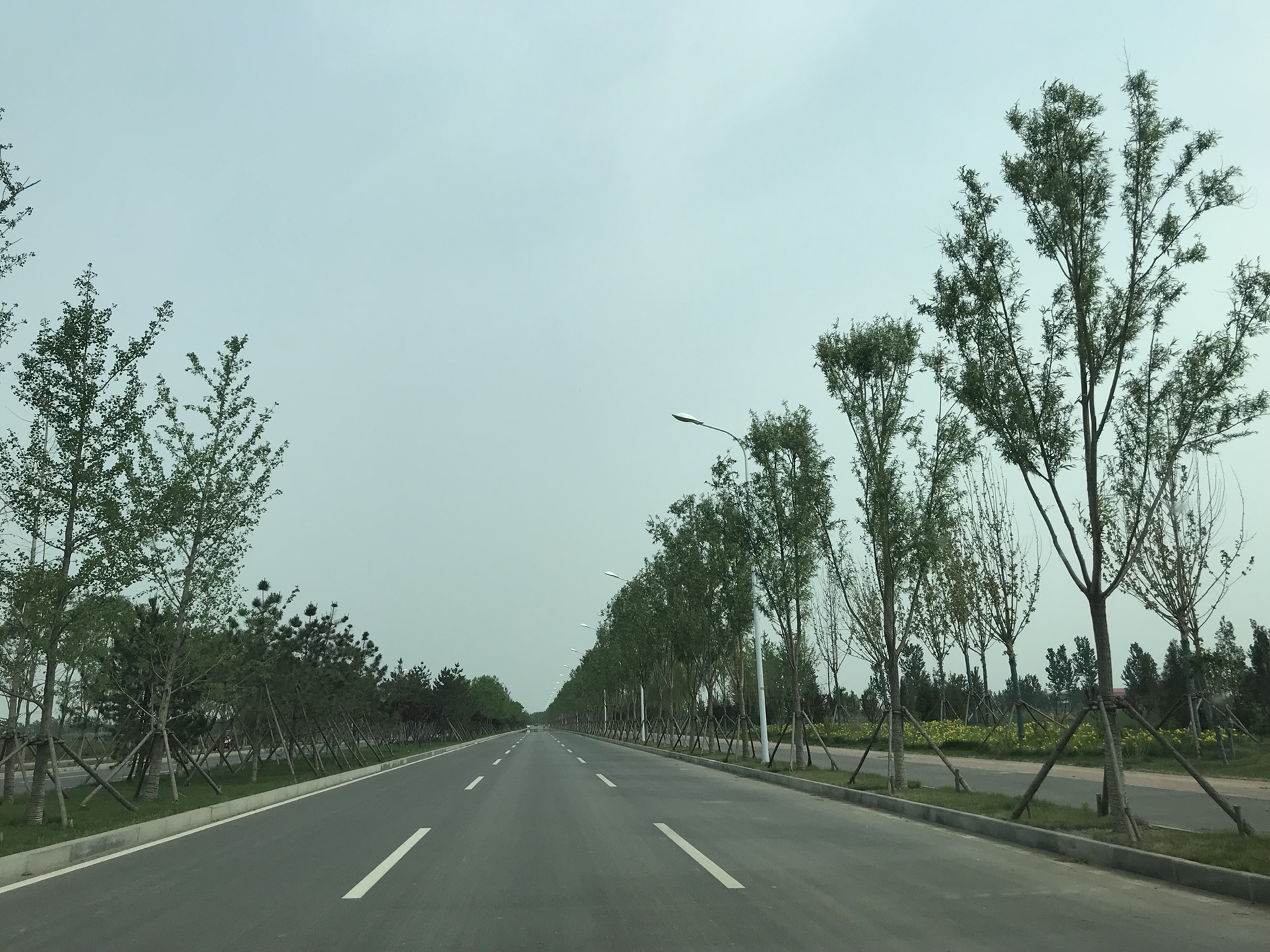 再见是雄安，再来已是客_游记