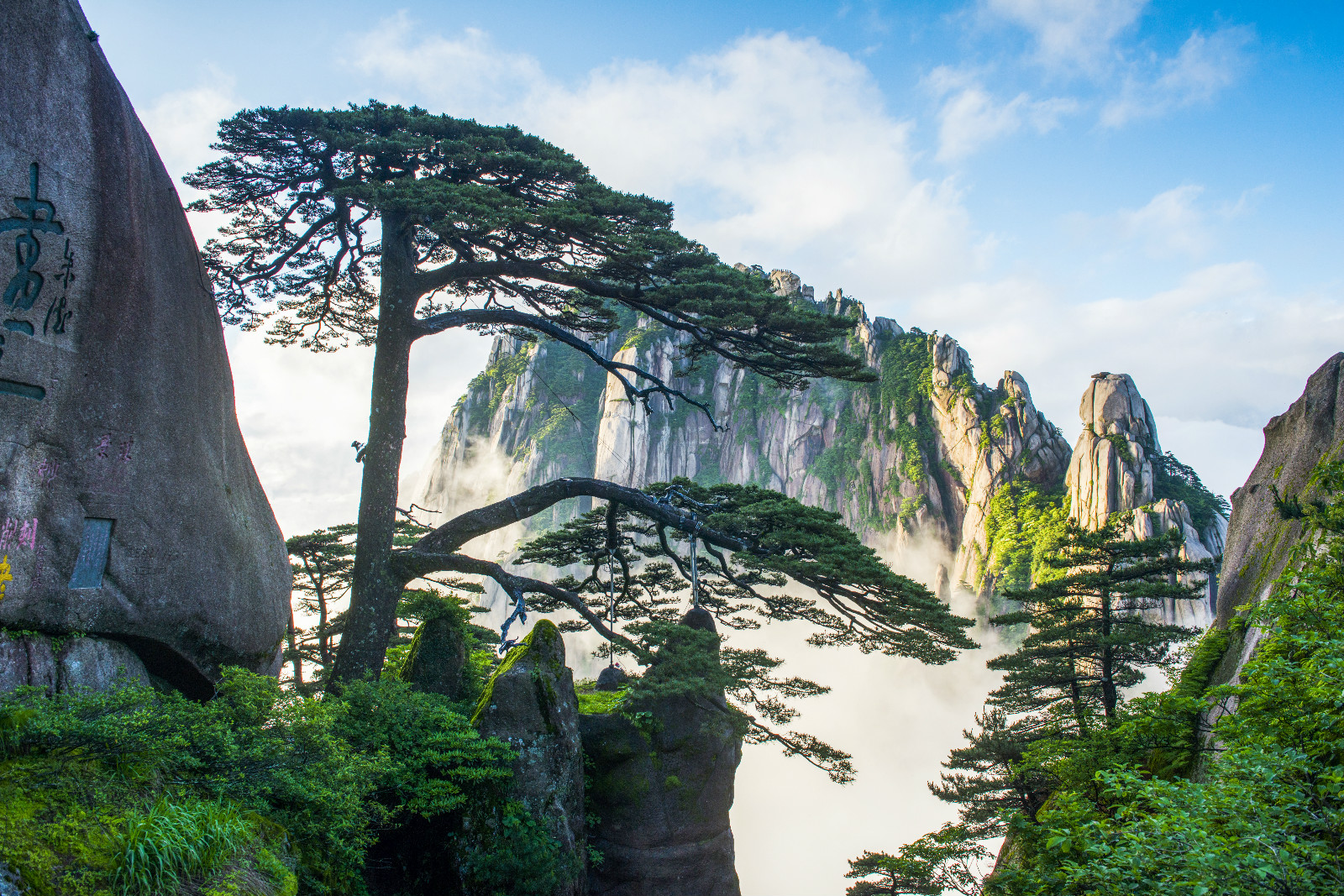 坐高铁到黄山北站,四季旅游景点线路大解析
