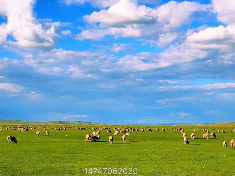 呼伦贝尔一般什么时候去最好