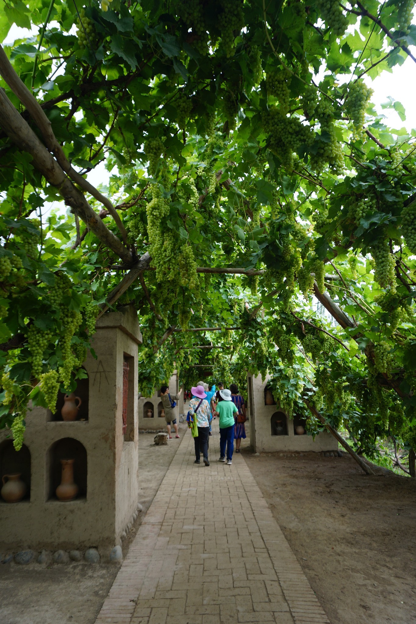 葡萄沟风景区—2018年7月新疆伊犁,库车,吐鲁番环线12天自驾游游记