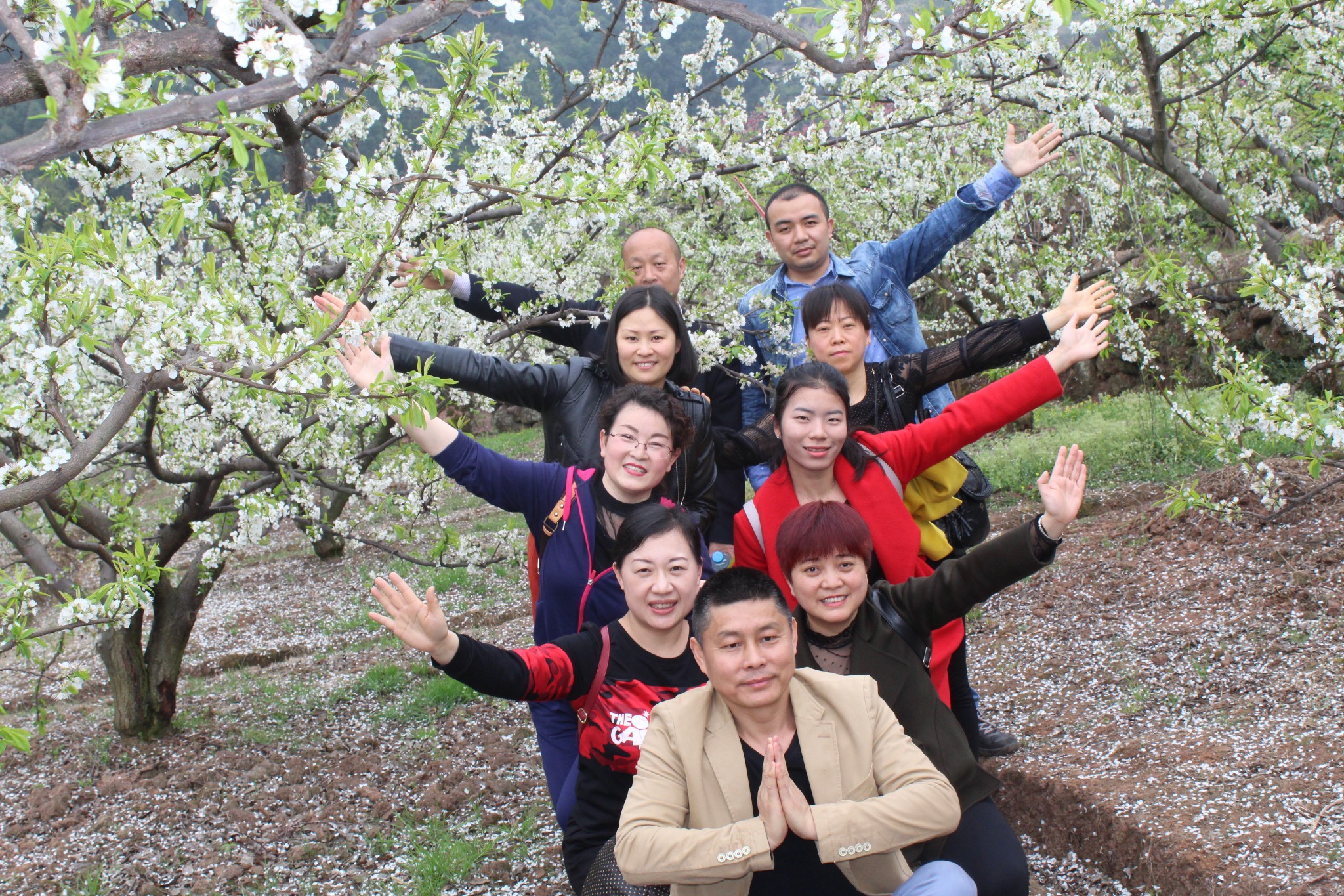 眉山丹棱幸福古村赏花游