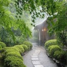 建伟