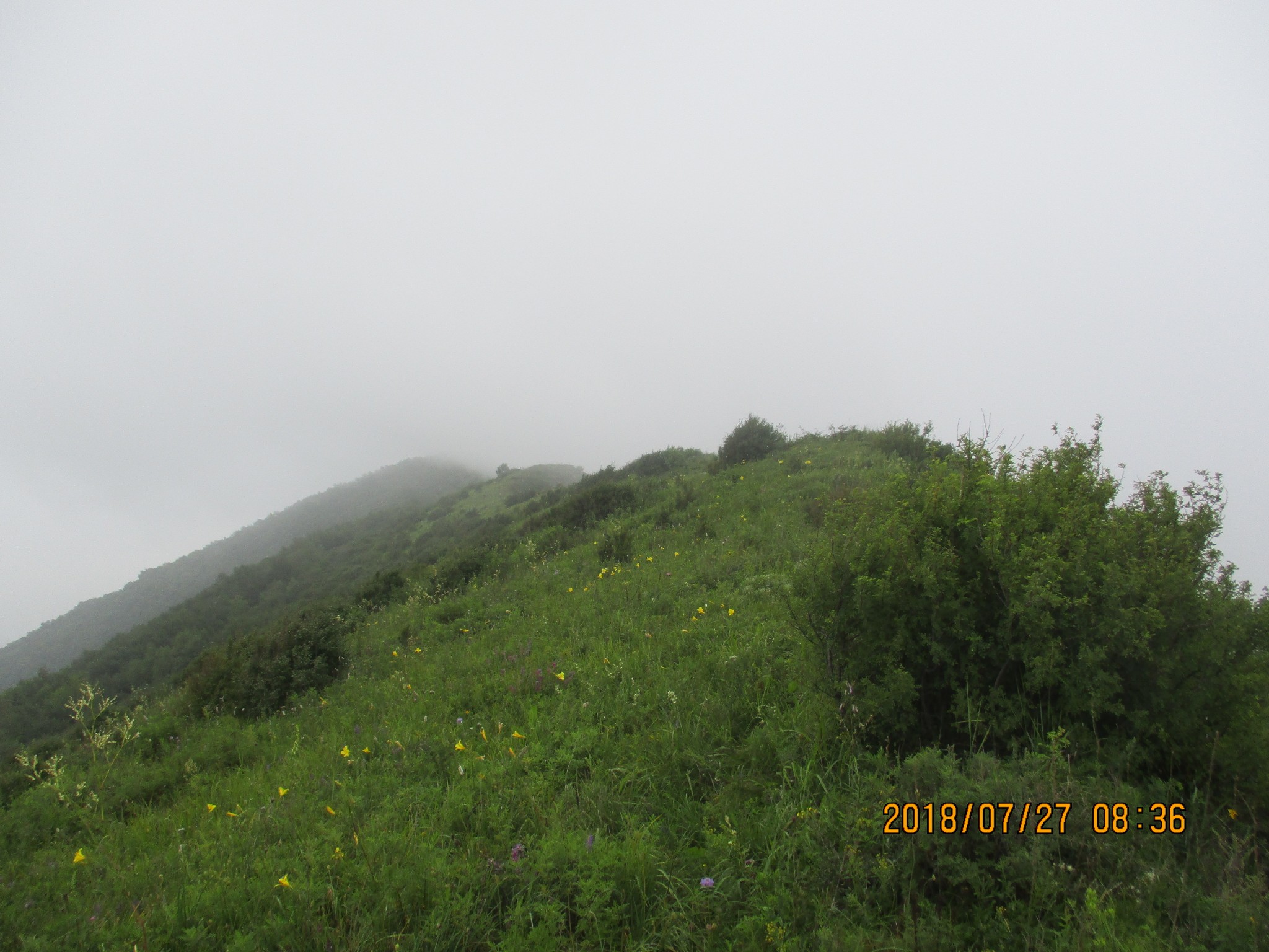 20180727烧坡里-八宝山（海拔1695米）-烧坡里环穿