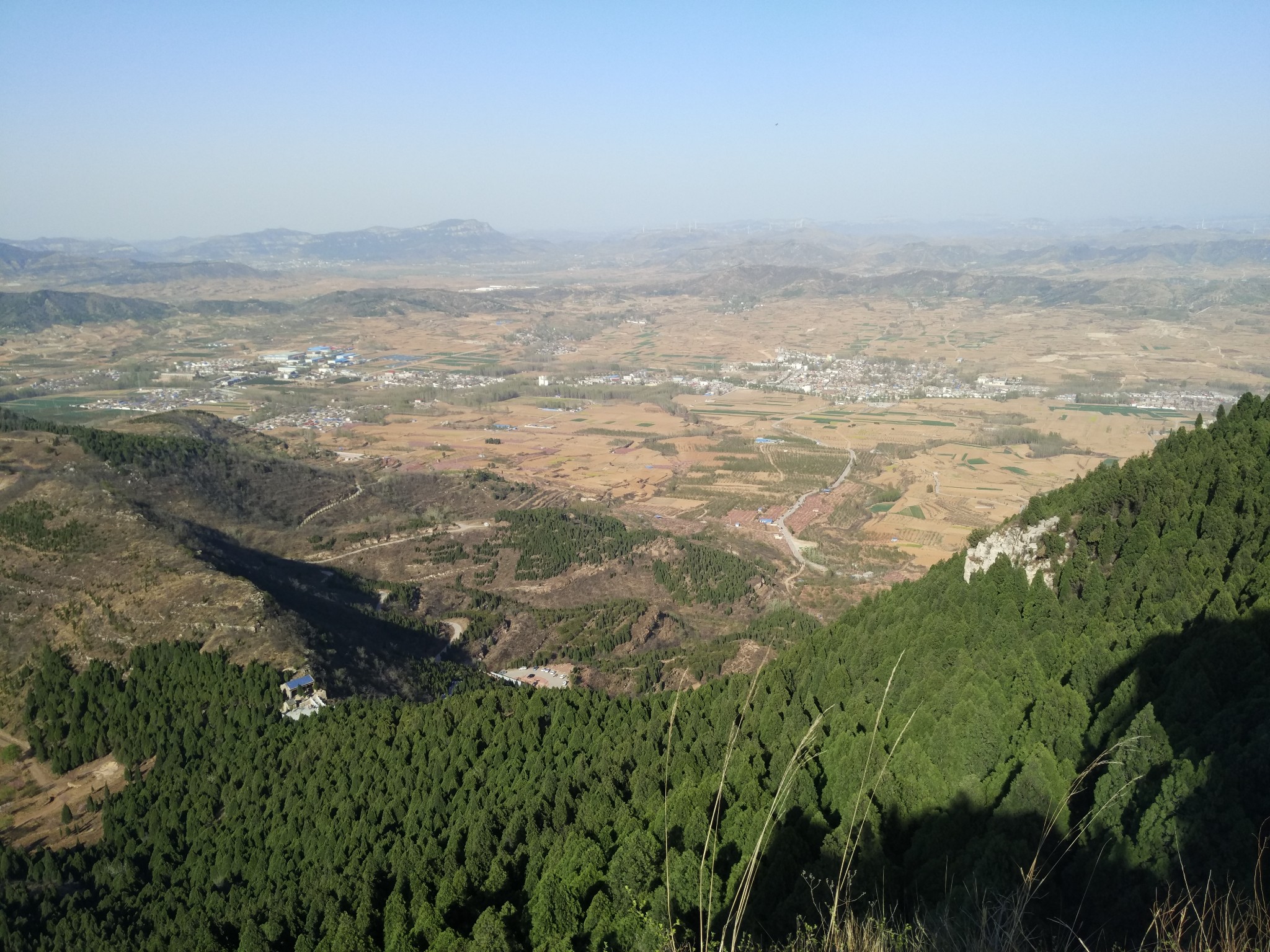 长清马山 马蜂窝