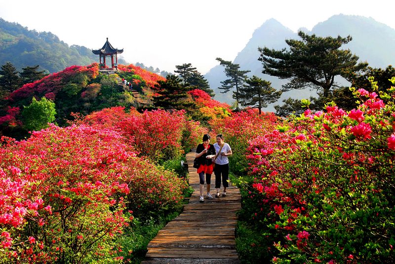 湖北黄冈麻城龟峰山景区门票