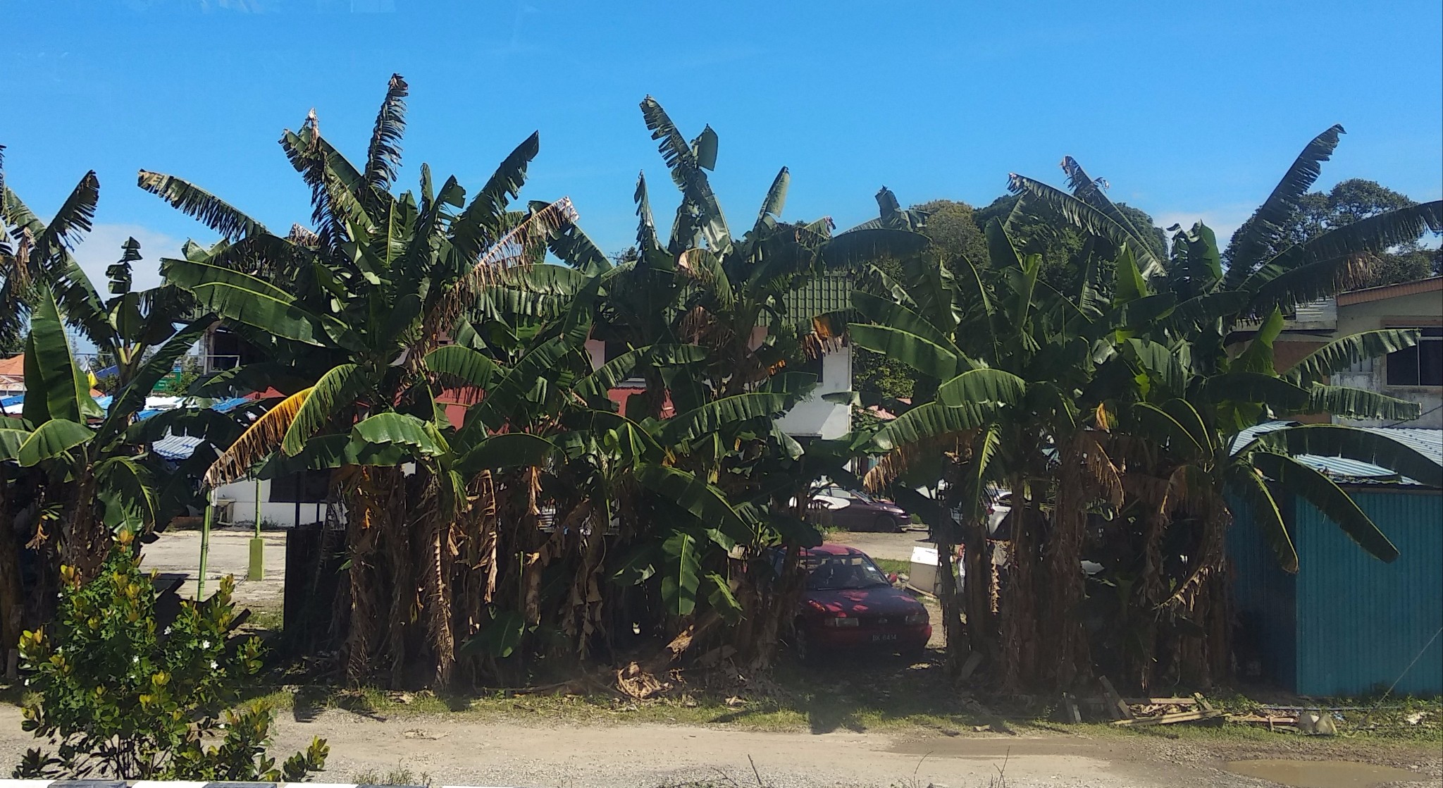 WELCOME TO BRUNEI._游记