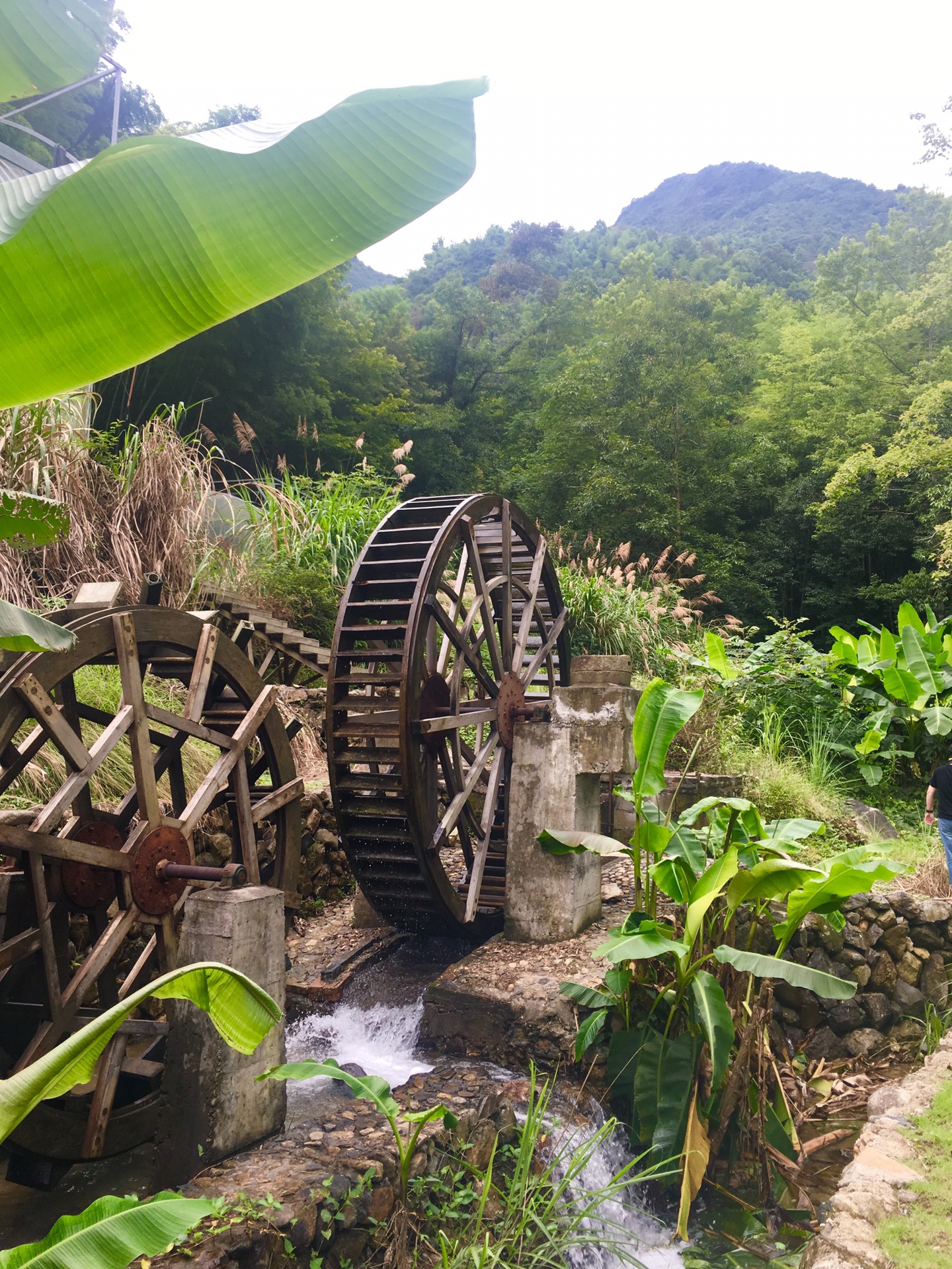 23星期六  —— 平阳 堂基村 顺溪古村 青街畲族  【携带物品】: 运动