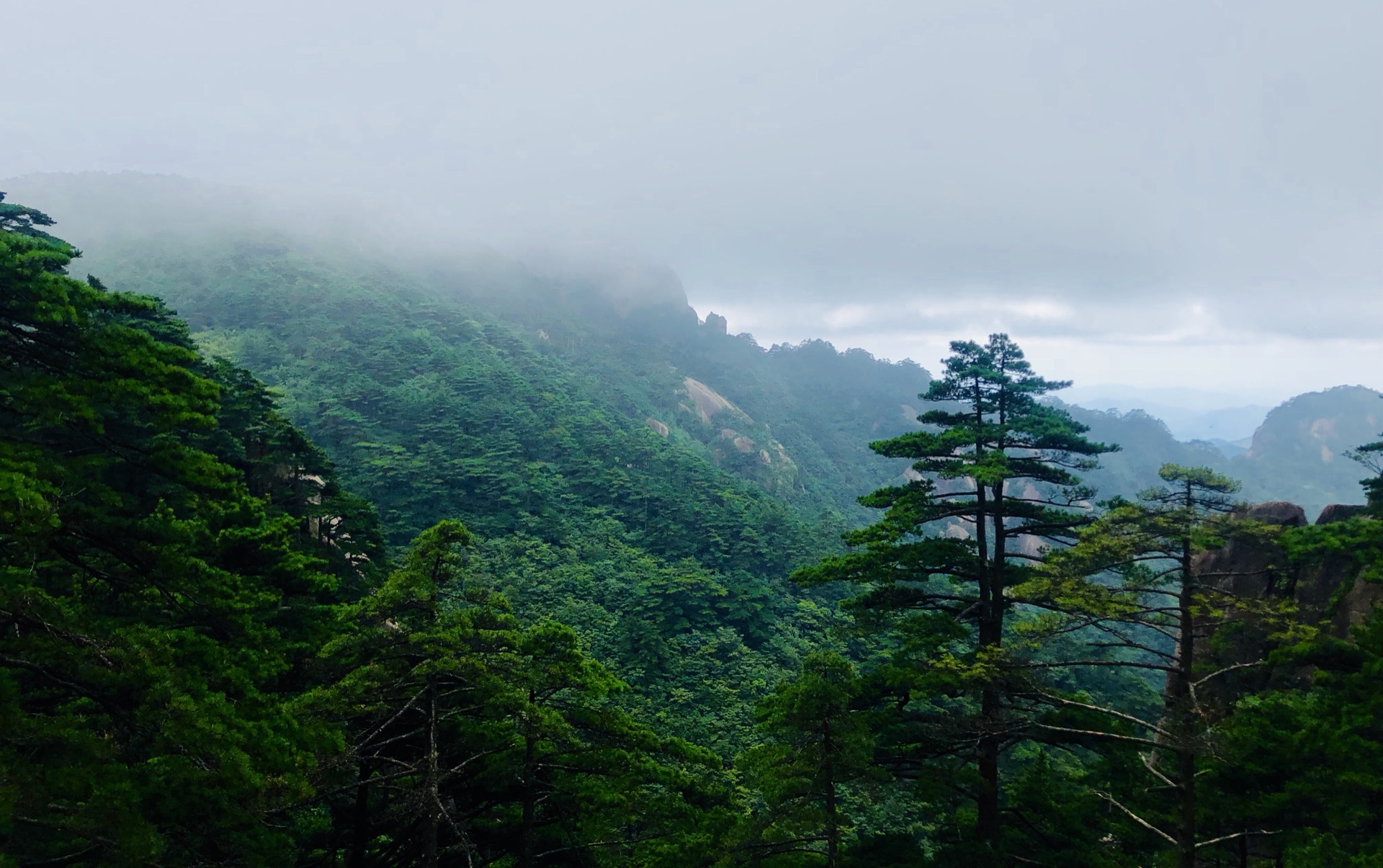 wKgBEFtNYjyAN18GAAg2346KoTw25.jpeg?imageView2%2F2%2Fw%2F600%2Fh%2F600%2Fq%2F90