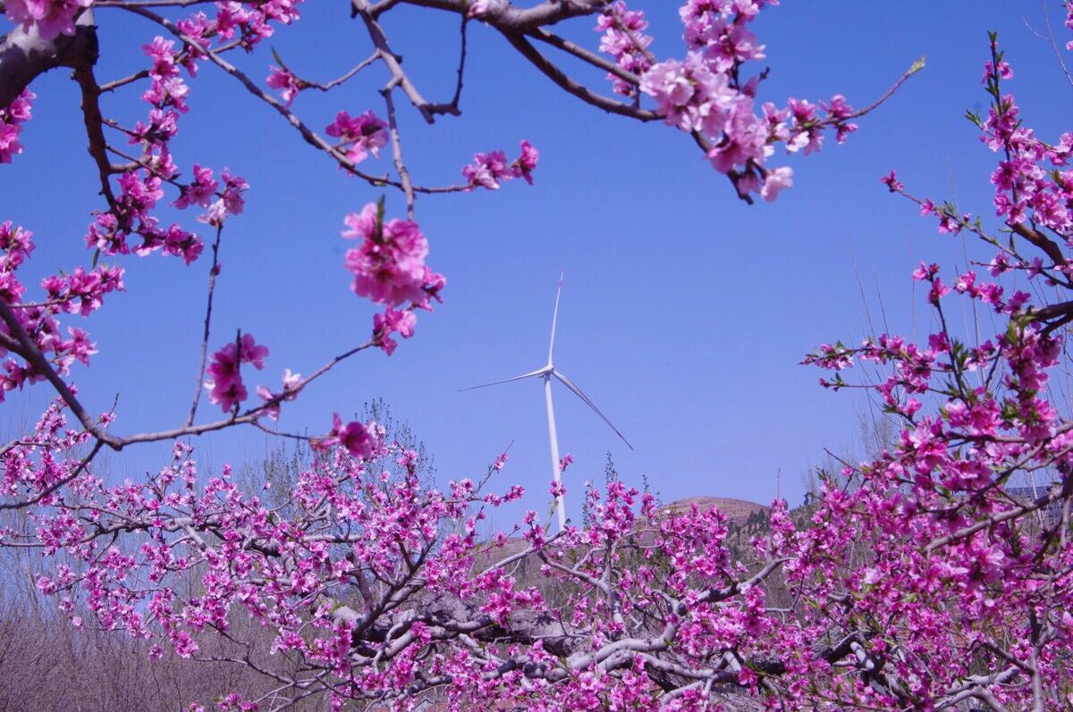 wKgBEFrSLVyAVij3AATJ-ax9LwY84.jpeg?imageView2%2F2%2Fw%2F600%2Fh%2F600%2Fq%2F90